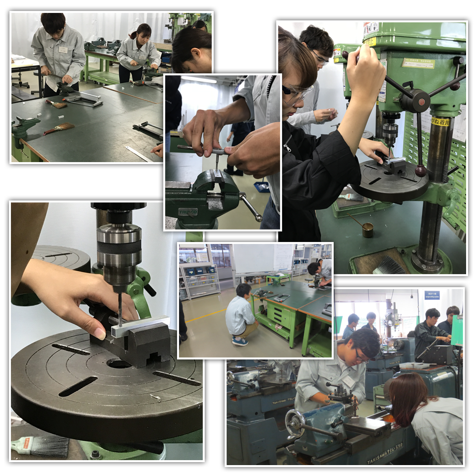 生命工学科 医工学実験